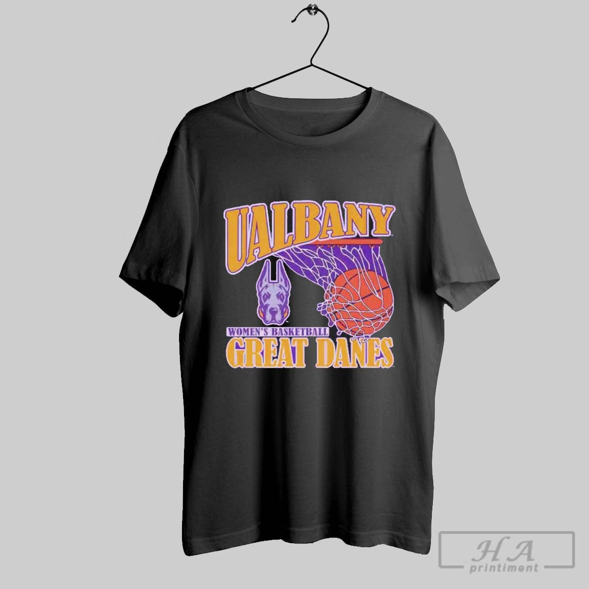 Albany Great Danes 2025 Womens Basketball Net - Adult & Kids T-Shirts, Sweatshirts & Hoodies apparel design preview 1