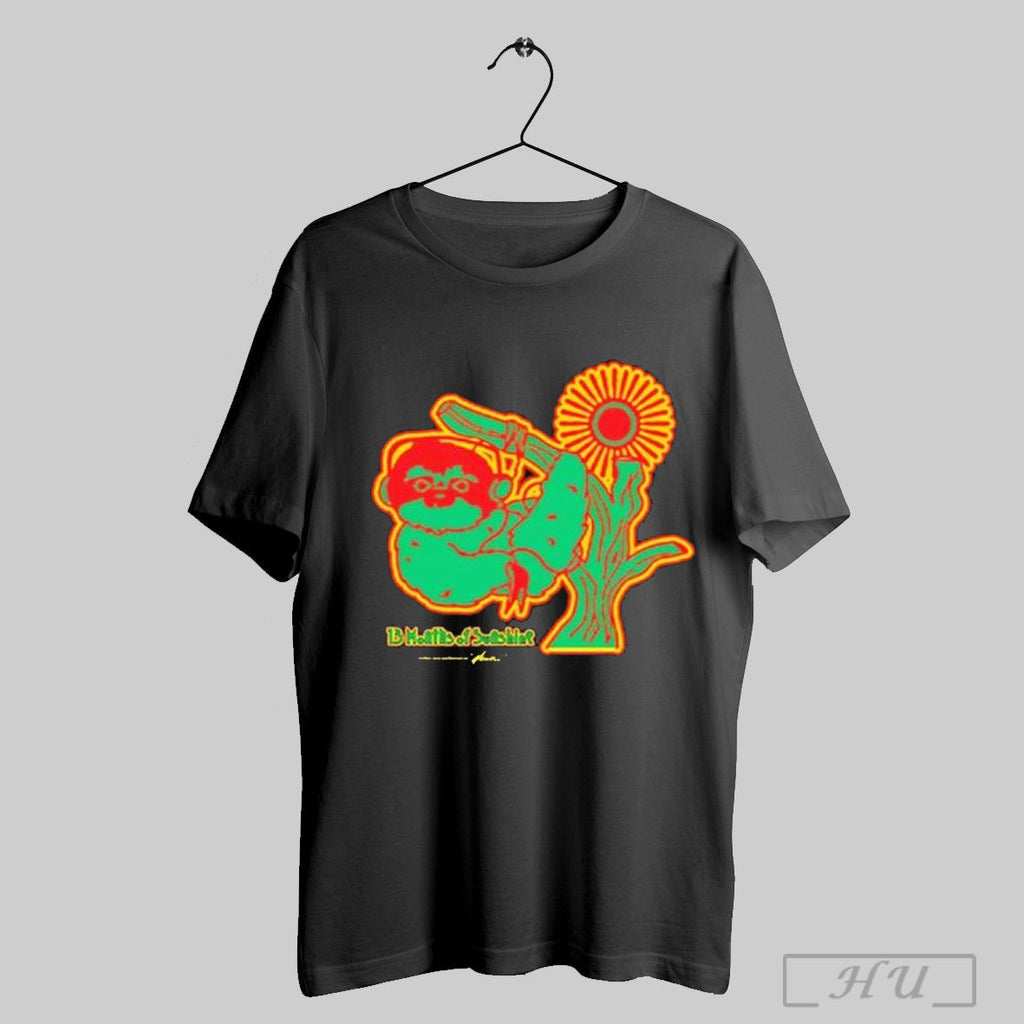 Amine 13 Months Of Sunshine 2025 - Adult & Kids T-Shirts, Sweatshirts & Hoodies apparel design preview 1