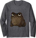 Grumpy Frog Japanese Art T-Shirt - Aesthetic Graphic for Adults - T-Shirt, Sweatshirt, Hoodie