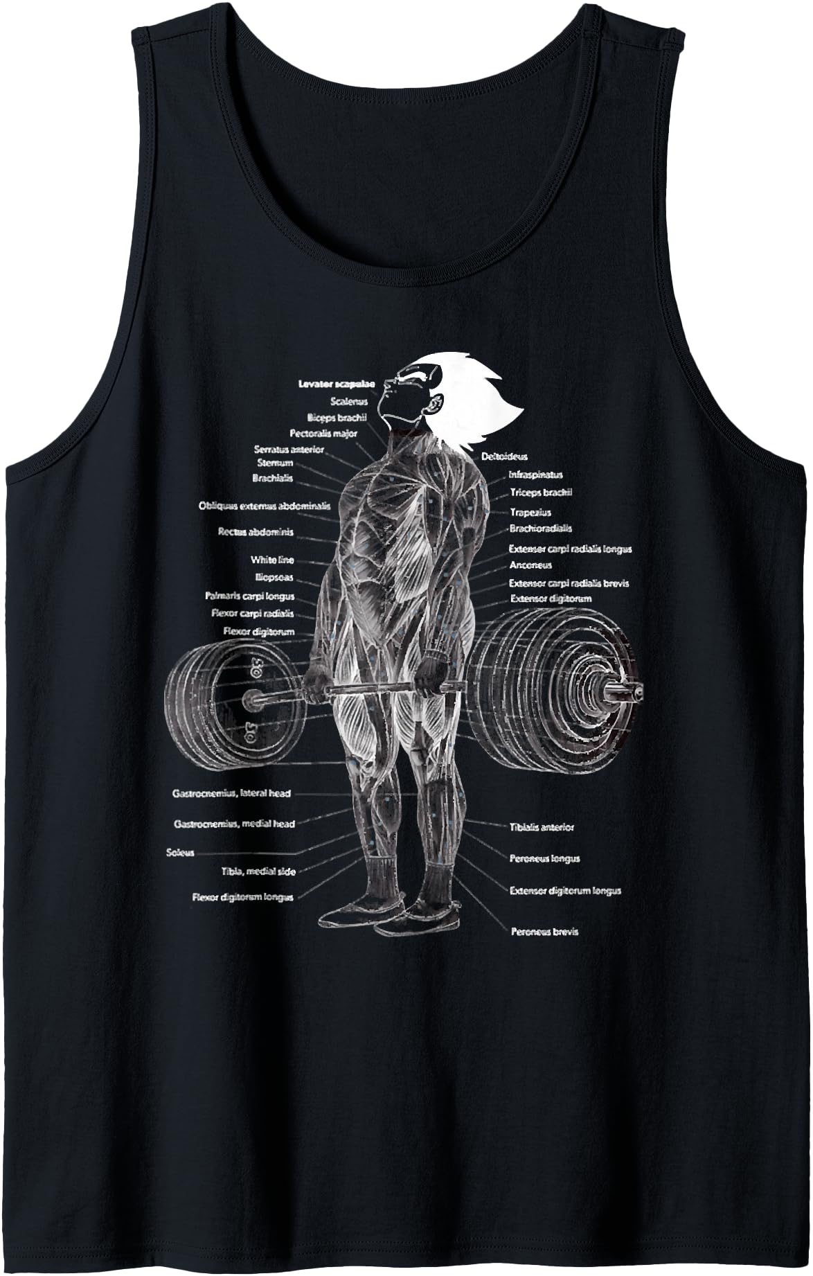 Authentic Anime Muscle Anatomy Chart Gym T-Shirt - Graphic Print Men Women - T-Shirt, Sweatshirt, Hoodie