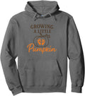 Authentic Growing Little Pumpkin Hoodie - Fun Novelty Design Men Women - T-Shirt, Sweatshirt, Hoodie