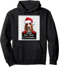 Original Basset Hound Dear Santa I T-Shirt - Minimalist Print for Adults - T-Shirt, Sweatshirt, Hoodie