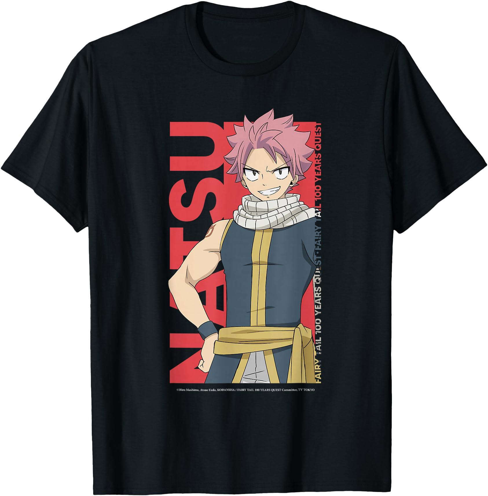Original Fairy Tail 100 Years Quest T-Shirt - Minimalist Print for Adults - T-Shirt, Sweatshirt, Hoodie