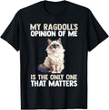 Ragdoll Cat Cat Ragdoll T Black Hoodie - Casual Everyday Wear Unisex - T-Shirt, Sweatshirt, Hoodie