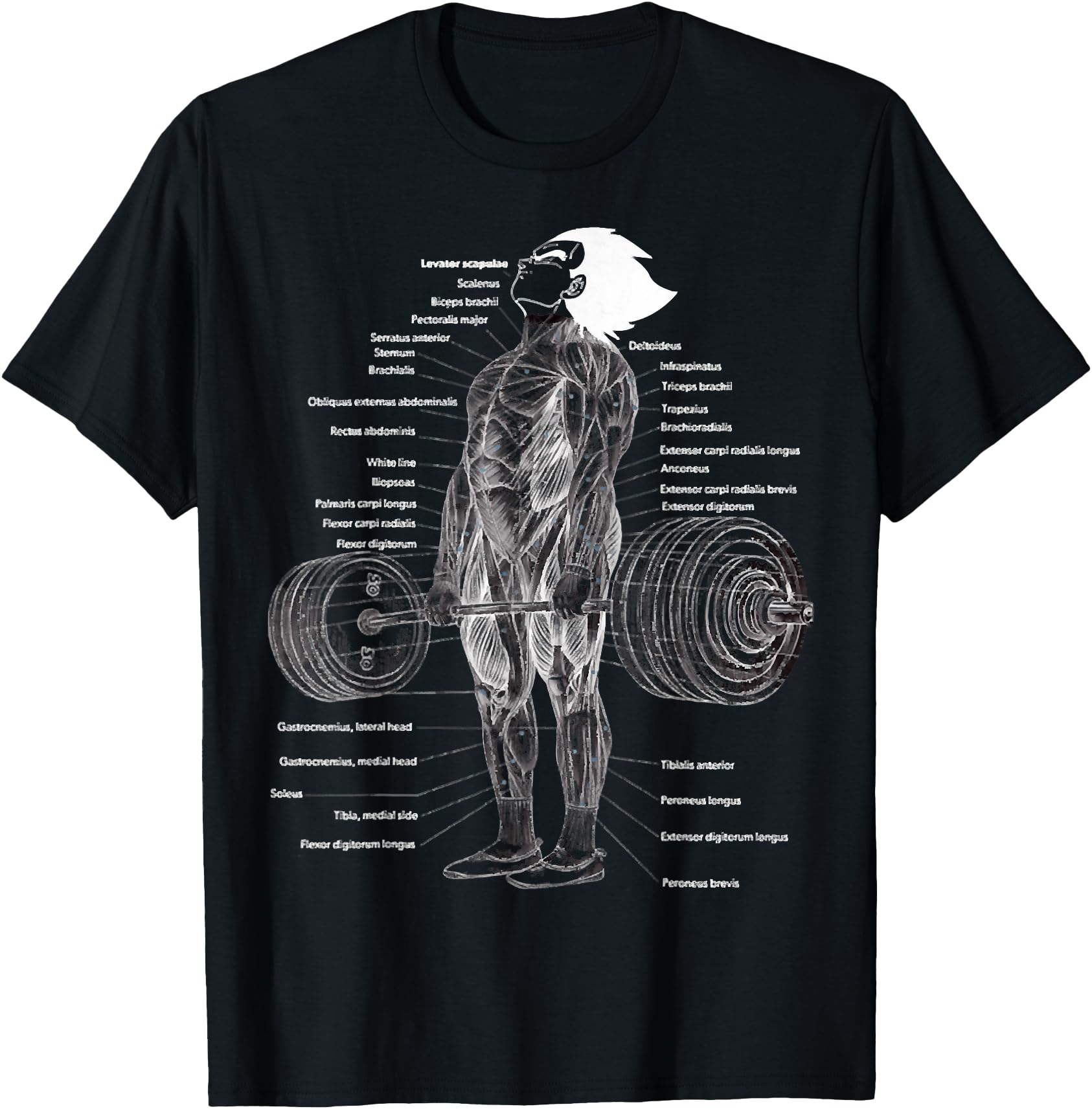 Anime Muscle Anatomy Chart Gym And Sweatshirt - Novelty Apparel for Adults - T-Shirt, Sweatshirt, Hoodie