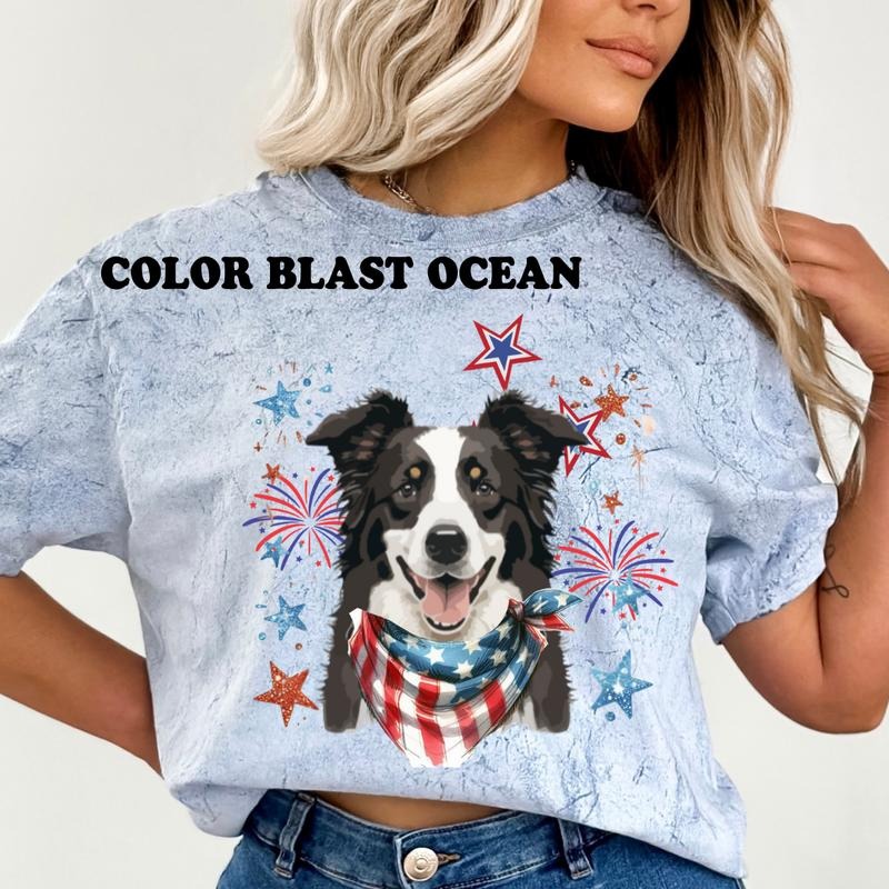 BORDER COLLIE Patriotic Dog Relaxed Fit Printed USA - Adult & Kids T-Shirts, Sweatshirts & Hoodies apparel design preview 1