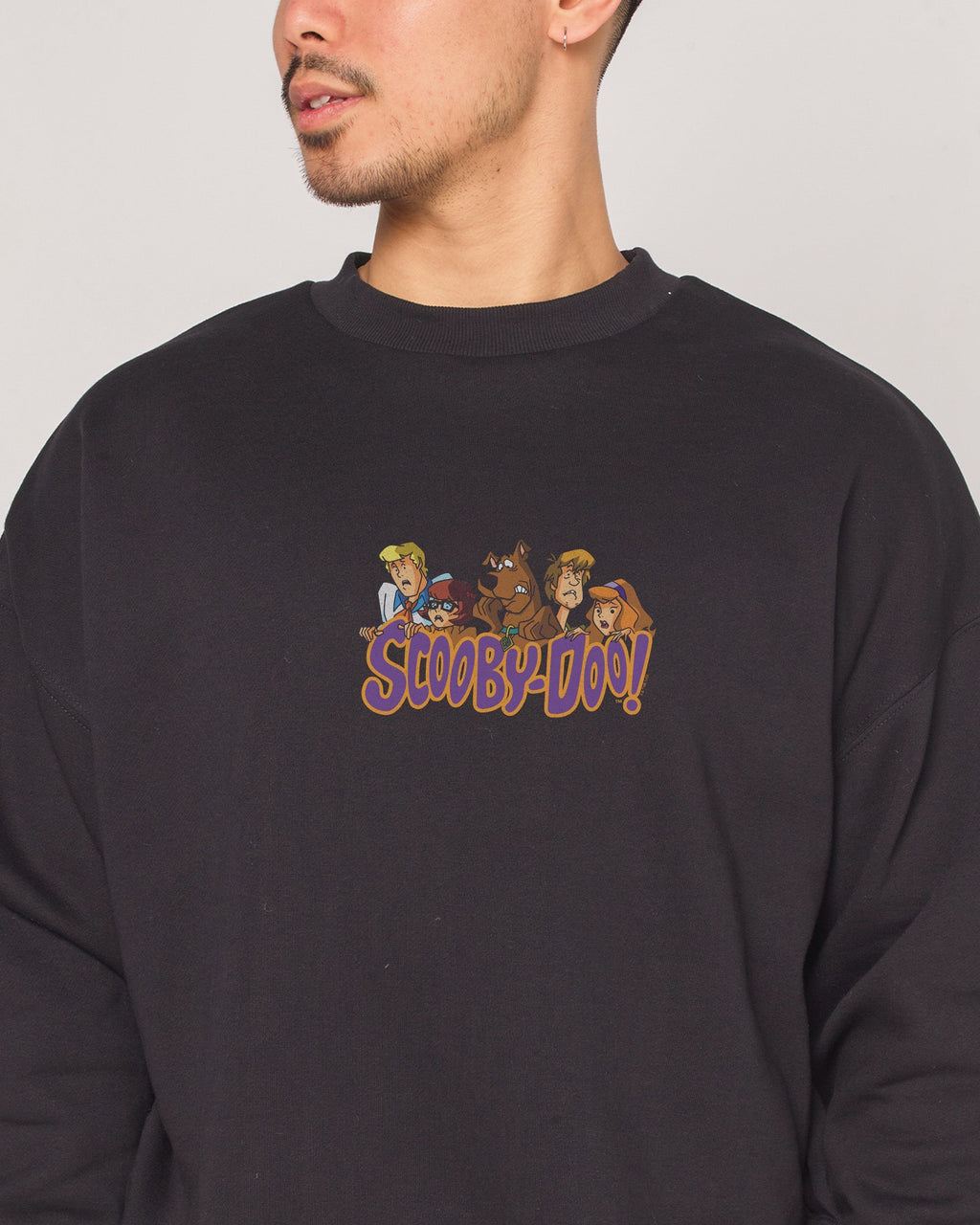 Scooby-Doo Characters - Adult & Kids T-Shirts, Sweatshirts & Hoodies apparel design preview 1