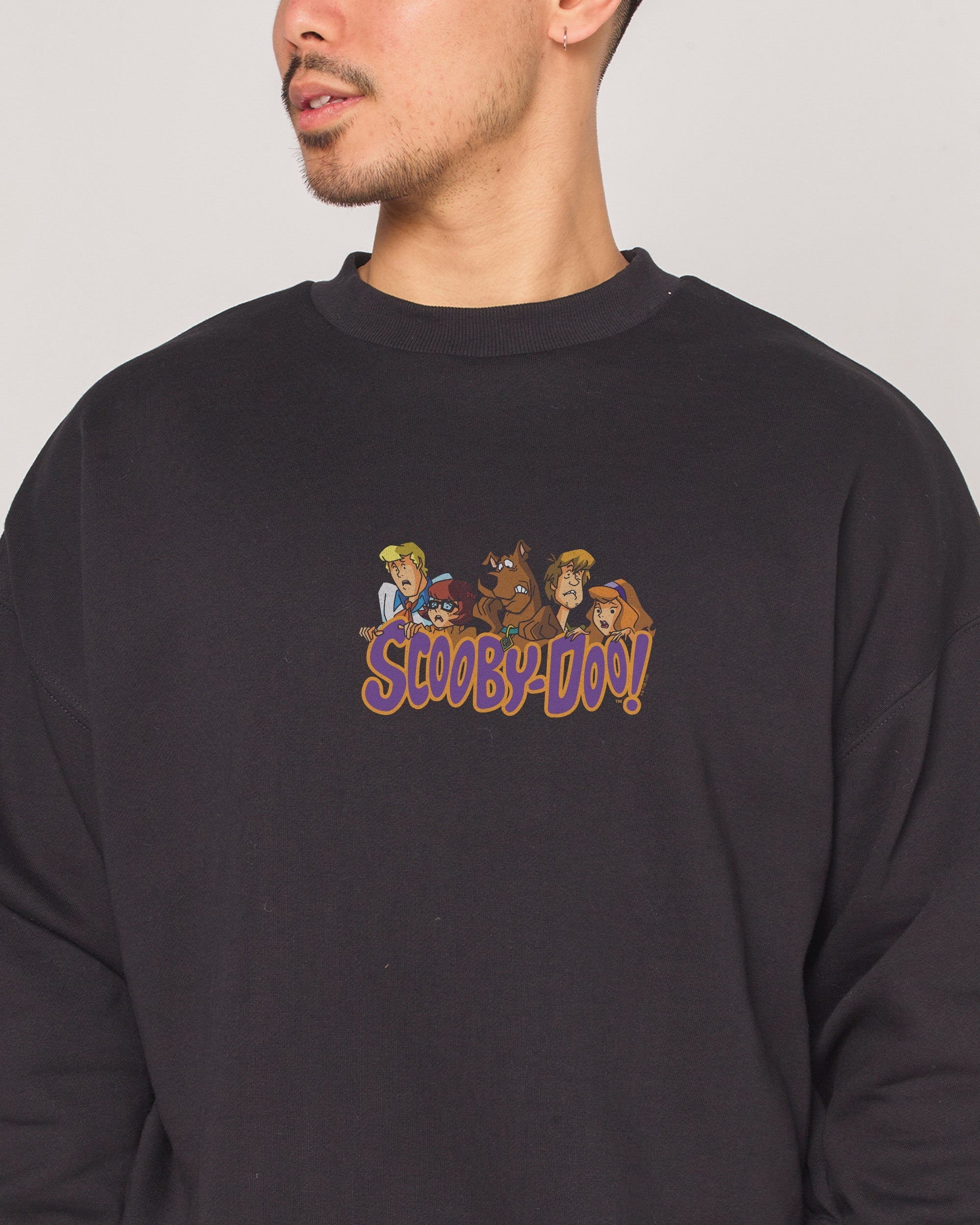 Scooby-Doo Characters - Adult & Kids T-Shirts, Sweatshirts & Hoodies apparel design preview 1