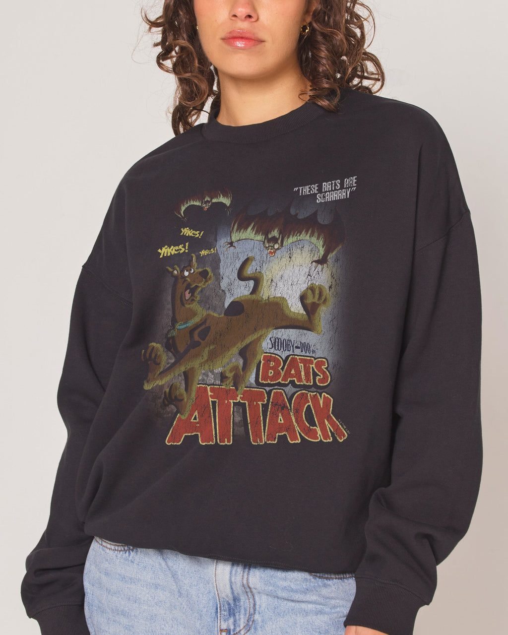 Scooby-Doo Bats Attack - Adult & Kids T-Shirts, Sweatshirts & Hoodies apparel design preview 1