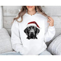 Black Lab Santa Labrador Dog Lover Xmas Pet - Adult & Kids T-Shirts, Sweatshirts & Hoodies apparel design preview 1