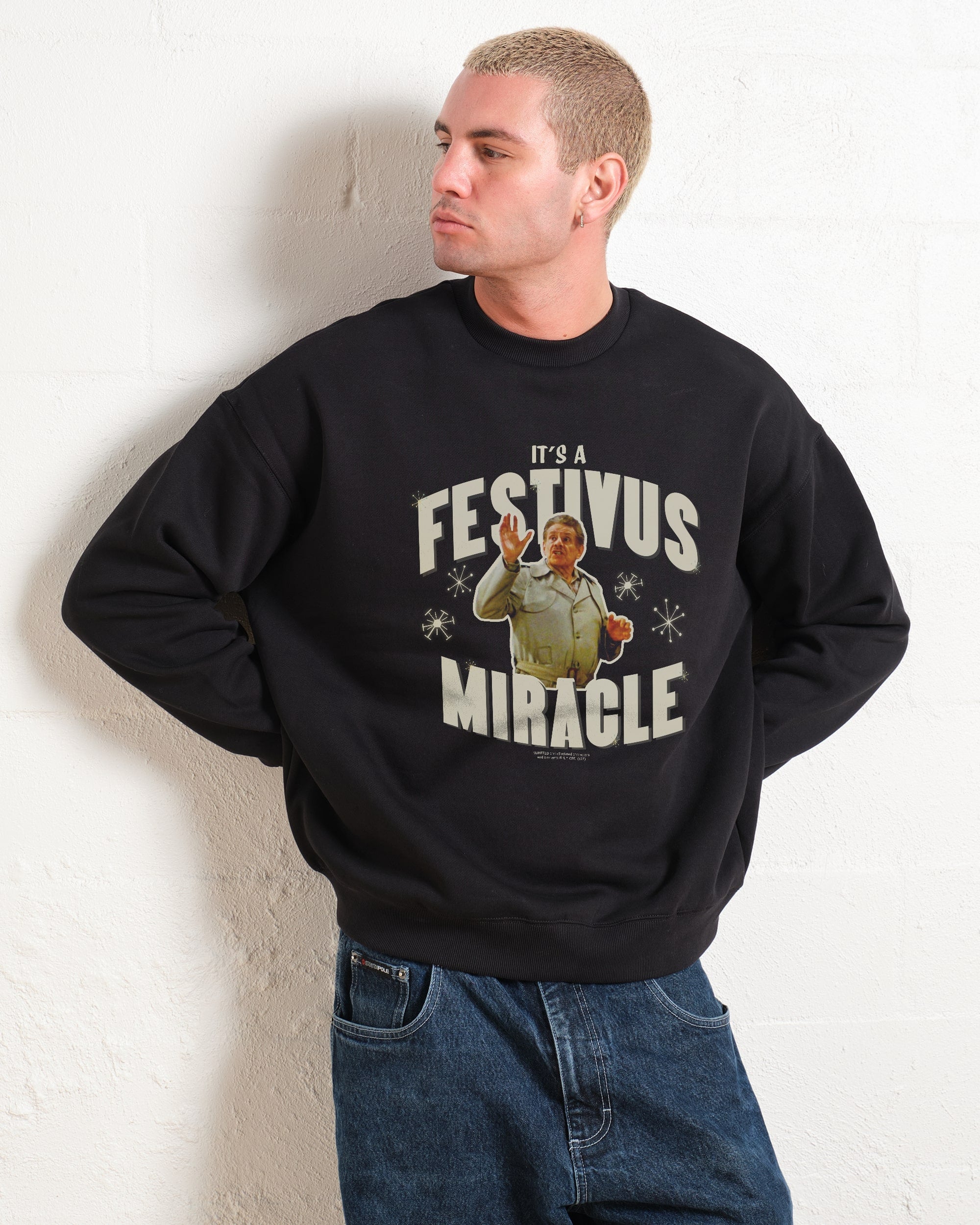 It's A Festivus Miracle - Adult & Kids T-Shirts, Sweatshirts & Hoodies apparel design preview 1
