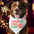 Candy Cane Cutie Bandana Dog Owner Xmas Neck Scarf - Adult & Kids T-Shirts, Sweatshirts & Hoodies apparel design preview 1