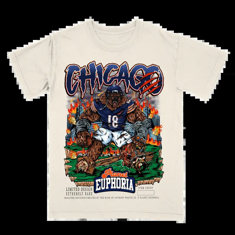 Chicago Football Fan Casual Menswear - Adult & Kids T-Shirts, Sweatshirts & Hoodies apparel design preview 1