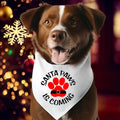 Dog Bandana Santa Paws Is Coming Pet Owner Xmas Paw - Adult & Kids T-Shirts, Sweatshirts & Hoodies apparel design preview 1