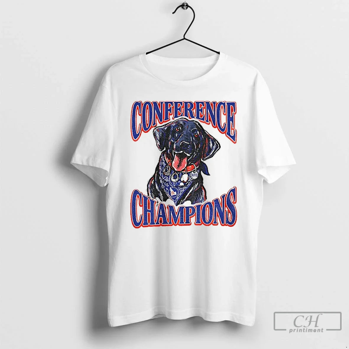 Classic Boise State Broncos Back Conference Champions - Adult & Kids T-Shirts, Sweatshirts & Hoodies apparel design preview 1