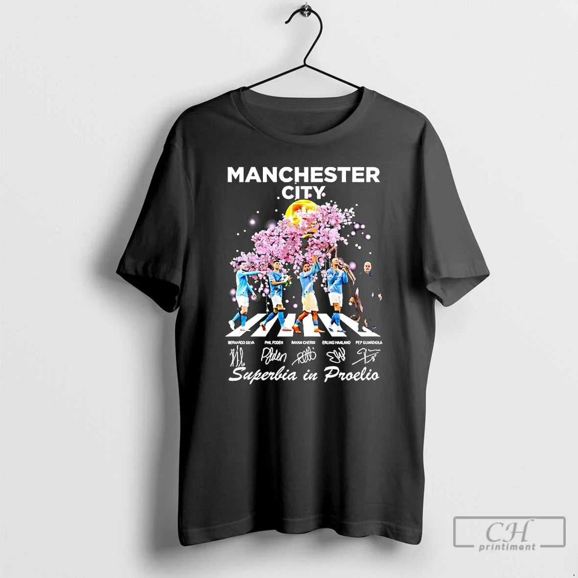 Classic Manchester City Fc Plen Superbia Proelio - Adult & Kids T-Shirts, Sweatshirts & Hoodies apparel design preview 1