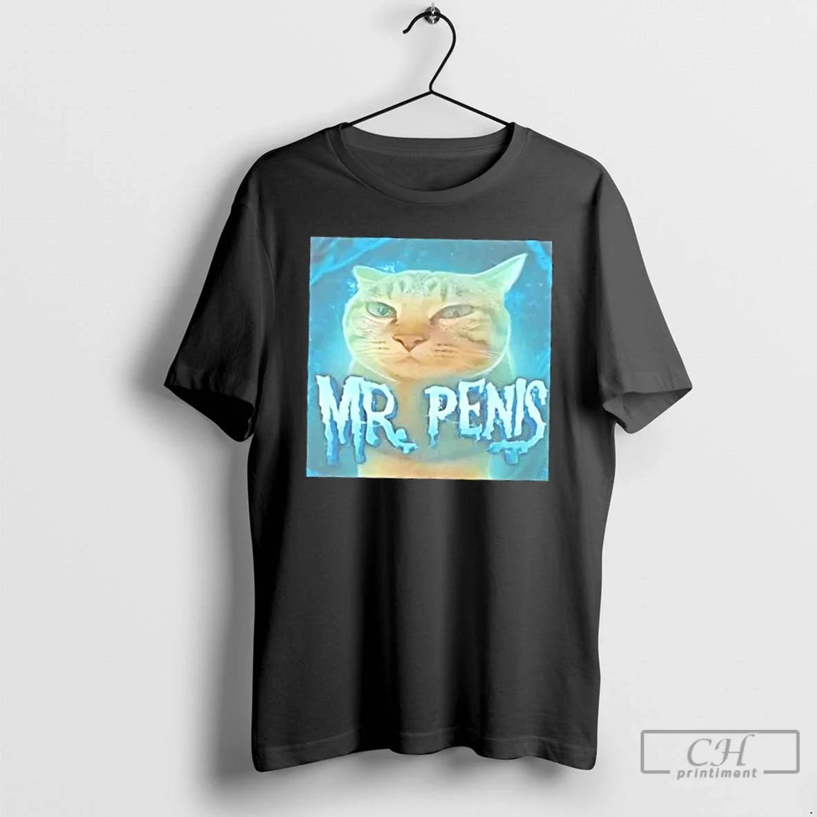 Classic Mr Penis Cat - Adult & Kids T-Shirts, Sweatshirts & Hoodies apparel design preview 1