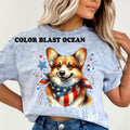 Corig Patriotic Dog Relaxed Fit Printed USA - Adult & Kids T-Shirts, Sweatshirts & Hoodies apparel design preview 1