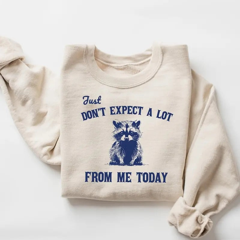 Don'T Expect Lot Me Today Funny Sarcastic Raccoon - Adult & Kids T-Shirts, Sweatshirts & Hoodies apparel design preview 1