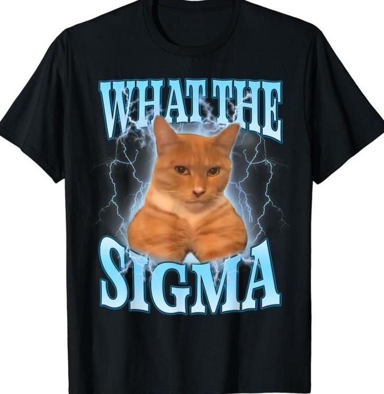 ERM What Sigma Meme Cat Ironic Brainrot Y2K - Adult & Kids T-Shirts, Sweatshirts & Hoodies apparel design preview 1