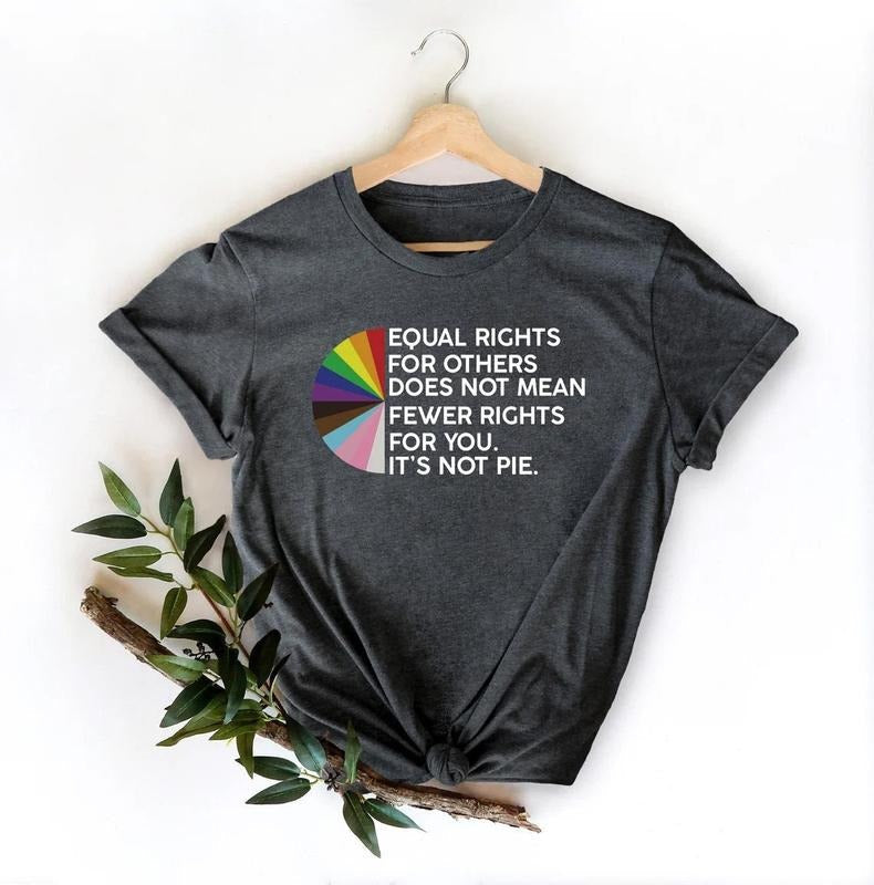 Equal Rights Others Does Not Mean Fewer You Pie Lgbt - Adult & Kids T-Shirts, Sweatshirts & Hoodies apparel design preview 1