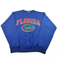 Florida Gators Champion NCAA 2024 - Adult & Kids T-Shirts, Sweatshirts & Hoodies apparel design preview 1
