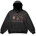 Florida State University Retro Cotton Menswear - Adult & Kids T-Shirts, Sweatshirts & Hoodies apparel design preview 1