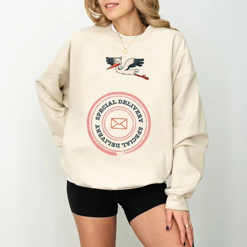 Funny Pregnancy Announcement Delivery Stork Bringing - Adult & Kids T-Shirts, Sweatshirts & Hoodies apparel design preview 1