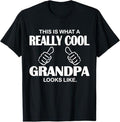 Funny Grandpa This Is What Really Cool Like Classic - Adult & Kids T-Shirts, Sweatshirts & Hoodies apparel design preview 1