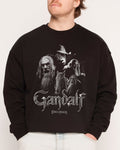 Gandalf the Grey - Adult & Kids T-Shirts, Sweatshirts & Hoodies apparel design preview 1