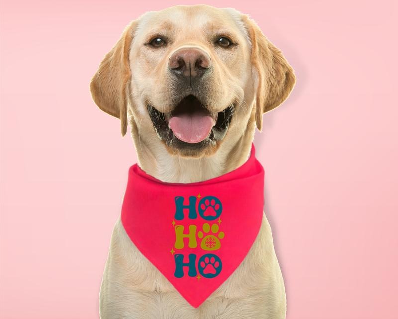Ho Dog Paw Bandana Cute Neck Scarf Pet Soft - Adult & Kids T-Shirts, Sweatshirts & Hoodies apparel design preview 1
