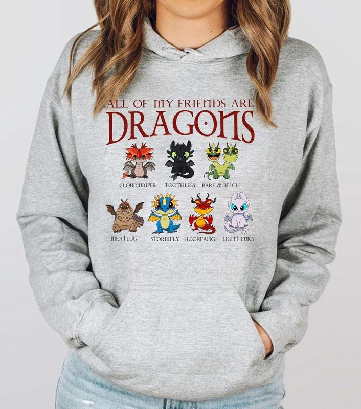 How Train Your Dragon Hidden World Toothless Friend - Adult & Kids T-Shirts, Sweatshirts & Hoodies apparel design preview 1