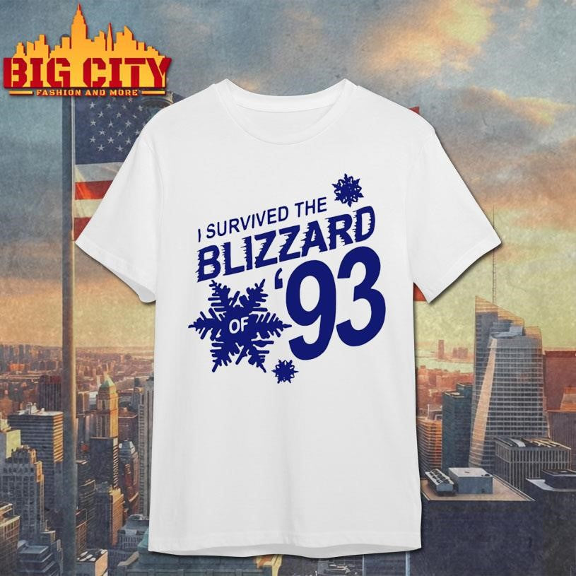 I Survived The Blizzard of 93 - Adult & Kids T-Shirts, Sweatshirts & Hoodies apparel design preview 1
