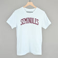 Seminoles Arch - Adult & Kids T-Shirts, Sweatshirts & Hoodies apparel design preview 1