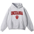 Indiana Vintage Sport Teams NCAA Team Fans - Adult & Kids T-Shirts, Sweatshirts & Hoodies apparel design preview 1