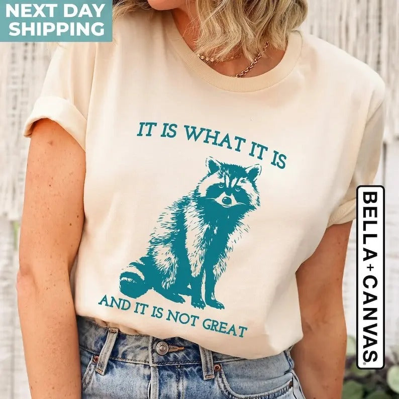 Is What Not Great Vintage Drawing Raccoon Meme - Adult & Kids T-Shirts, Sweatshirts & Hoodies apparel design preview 1