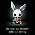 Somebunny That I Used to Know - Adult & Kids T-Shirts, Sweatshirts & Hoodies apparel design preview 1