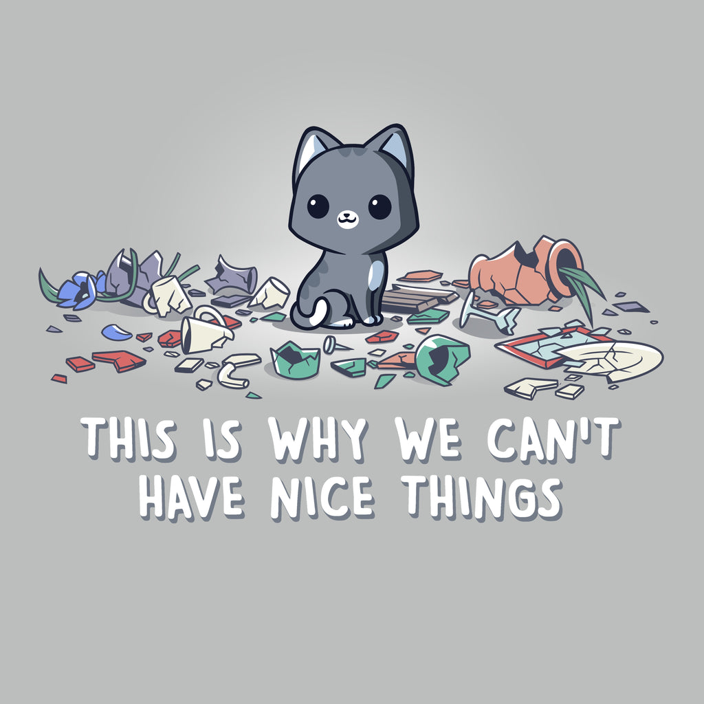 Can t Have Nice Things - Adult & Kids T-Shirts, Sweatshirts & Hoodies apparel design preview 1