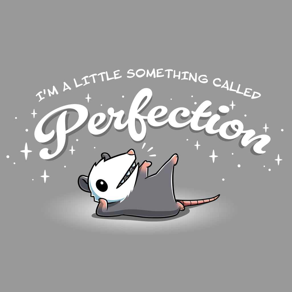 I Am Perfection - Adult & Kids T-Shirts, Sweatshirts & Hoodies apparel design preview 1