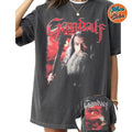 LOTR Gandalf White Vs Balrog Vintage Cotton Crew Neck - Adult & Kids T-Shirts, Sweatshirts & Hoodies apparel design preview 1