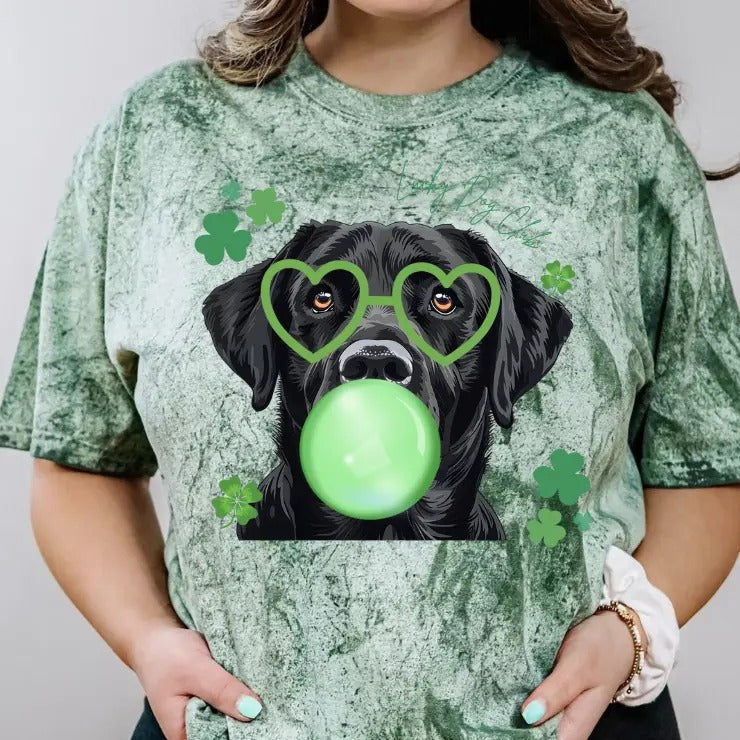 Lucky Dog Black Lab Relaxed Fit Printed USA - Adult & Kids T-Shirts, Sweatshirts & Hoodies apparel design preview 1