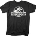 Funny Grandpa Being Is Walk Park Dinosaur T Rex - Adult & Kids T-Shirts, Sweatshirts & Hoodies apparel design preview 1
