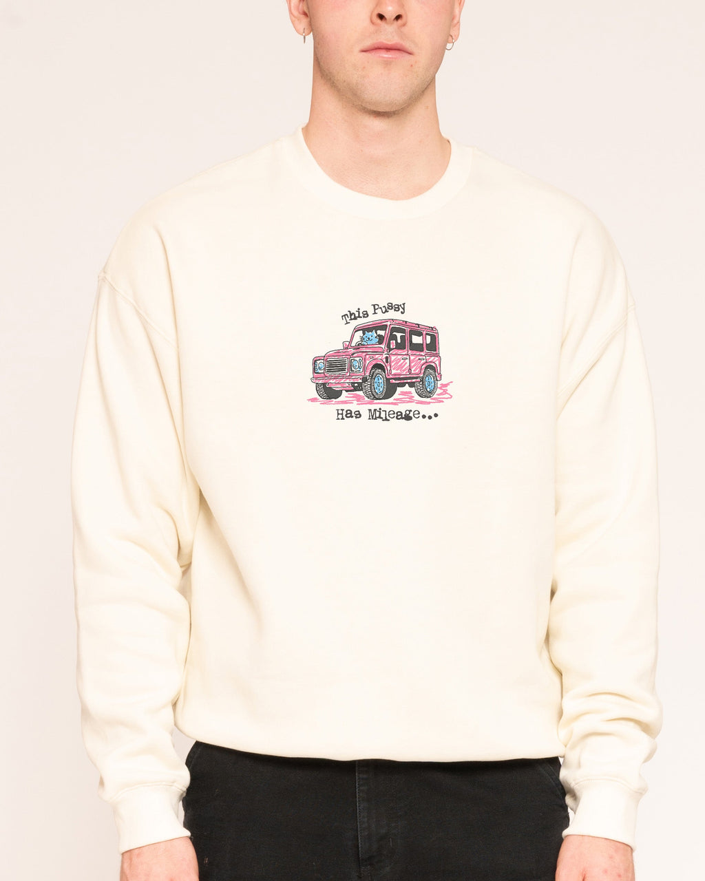 Pussy Has Mileage - Adult & Kids T-Shirts, Sweatshirts & Hoodies apparel design preview 1