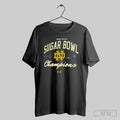 Notre Dame Fighting Irish College Football Playoff - Adult & Kids T-Shirts, Sweatshirts & Hoodies apparel design preview 1