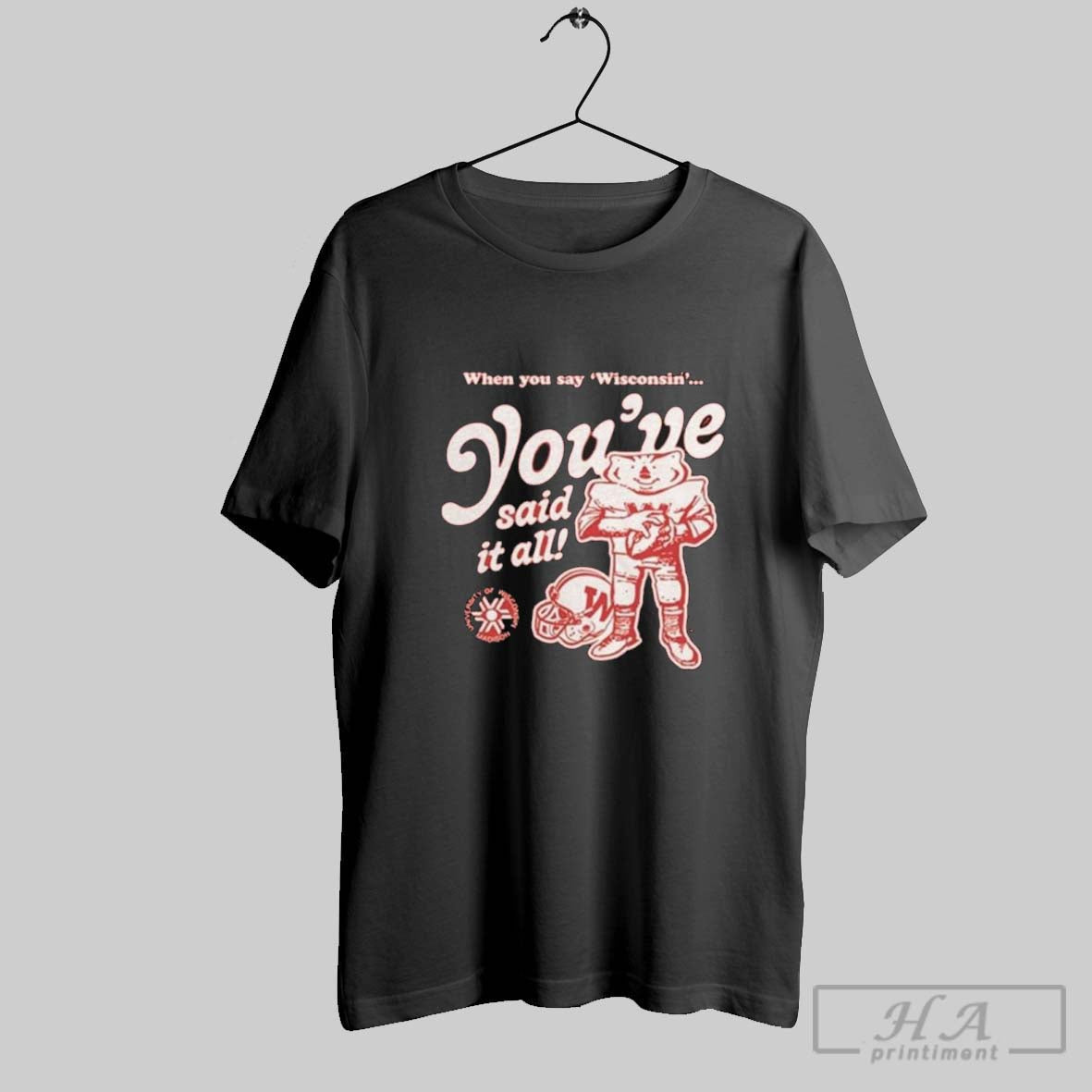 Official Wisconsin Badgers Youve Said It All - Adult & Kids T-Shirts, Sweatshirts & Hoodies apparel design preview 1