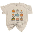 Pumpkin Variety - Adult & Kids T-Shirts, Sweatshirts & Hoodies apparel design preview 1