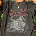 Salvatore Comfort Colots Mystic Falls Stefan Damon - Adult & Kids T-Shirts, Sweatshirts & Hoodies apparel design preview 1