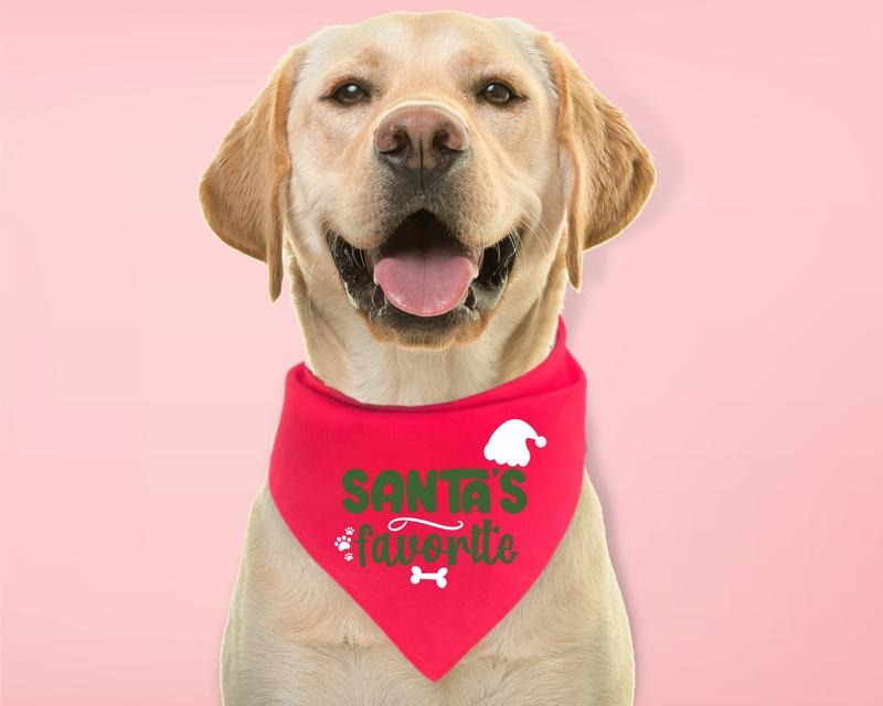 Santa'S Favorite Dog Bandana Neck Scarf Pet Xmas New - Adult & Kids T-Shirts, Sweatshirts & Hoodies apparel design preview 1