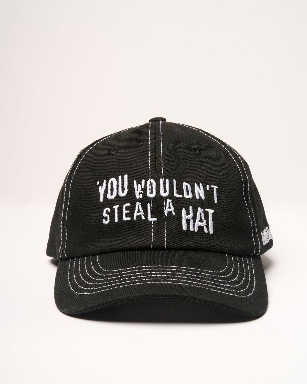 You Wouldn't Steal A Hat - Adult & Kids T-Shirts, Sweatshirts & Hoodies apparel design preview 1