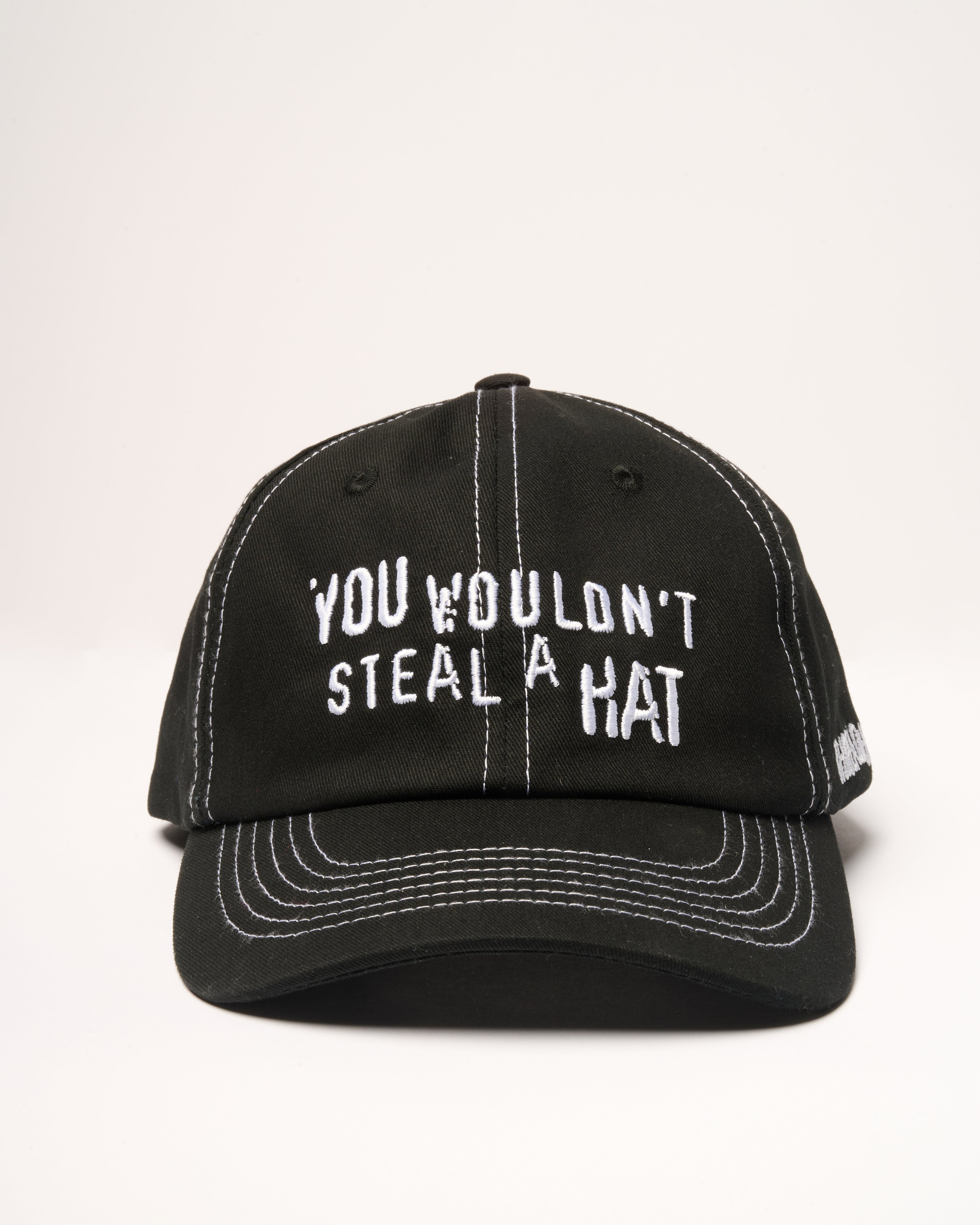 You Wouldn't Steal A Hat - Adult & Kids T-Shirts, Sweatshirts & Hoodies apparel design preview 1